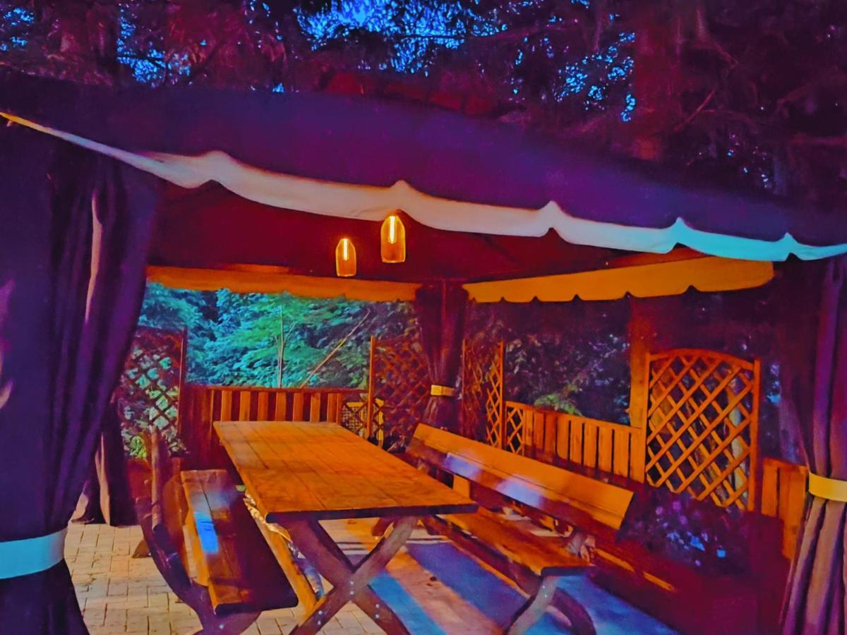 Villa Sezatoarea Lupilor Lepşa Exterior foto