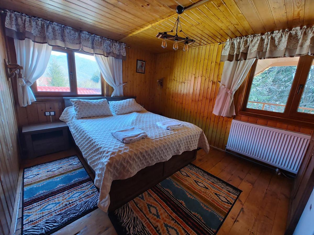 Villa Sezatoarea Lupilor Lepşa Exterior foto