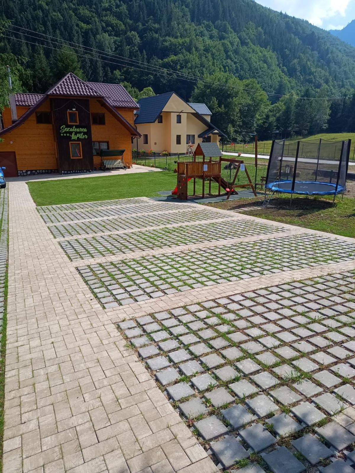 Villa Sezatoarea Lupilor Lepşa Exterior foto